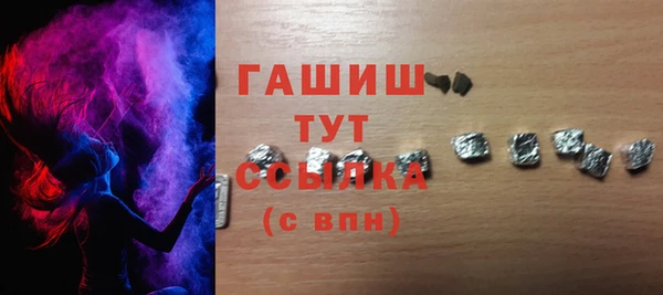 сатива Беломорск