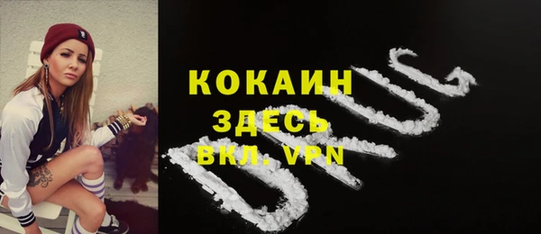 спайс Баксан