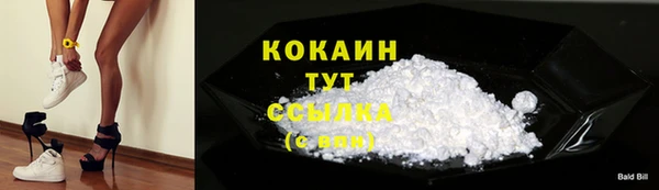 сатива Беломорск