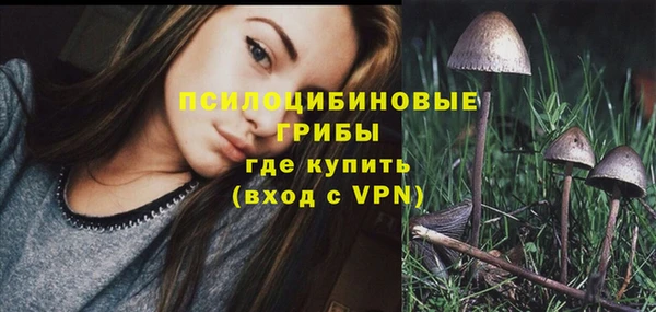 стафф Балахна