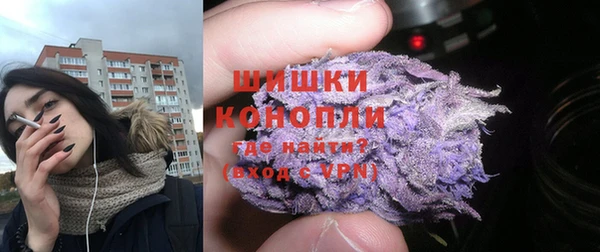 спайс Баксан