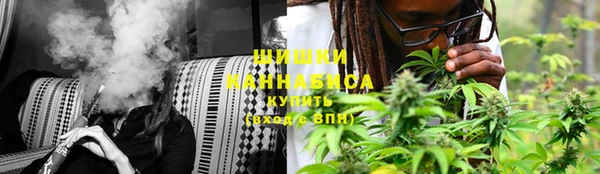 спайс Баксан