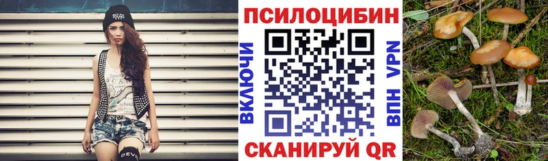 Псилоцибиновые грибы GOLDEN TEACHER  Мончегорск 